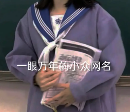 一眼万年的网名