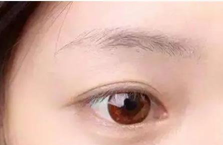 眉毛看相