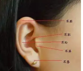 耳朵上的痣代表什么含