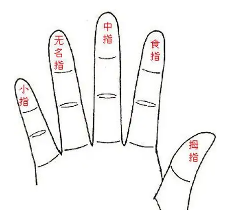怎么从手指看相