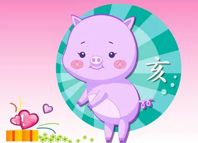 1995年属什么生肖