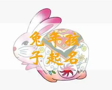 兔年出生婴儿取名男孩,兔年男孩名字大全