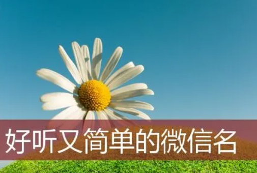 简单好听的微信名